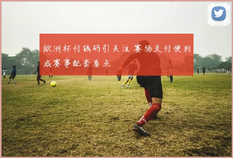 欧洲杯付钱码引关注 赛场支付便利成赛事配套看点