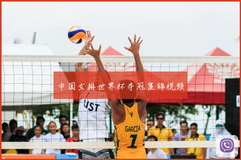 中国女排世界杯夺冠集锦视频