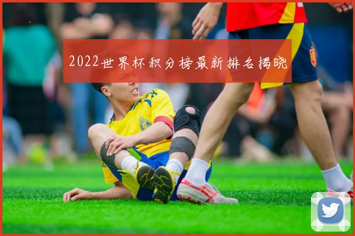 2022世界杯积分榜最新排名揭晓