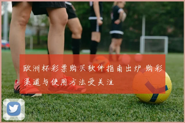 欧洲杯彩票购买软件指南出炉 购彩渠道与使用方法受关注