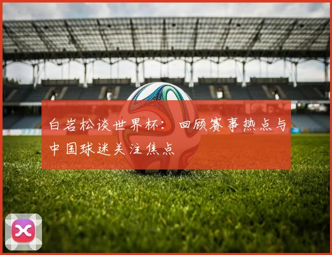白岩松谈世界杯:回顾赛事热点与中国球迷关注焦点