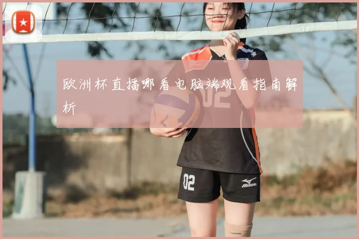 欧洲杯直播哪看电脑端观看指南解析