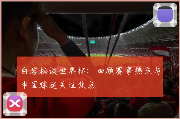 白岩松谈世界杯：回顾赛事热点与中国球迷关注焦点