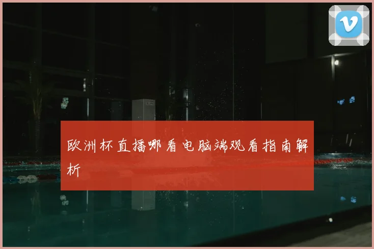 欧洲杯直播哪看电脑端观看指南解析