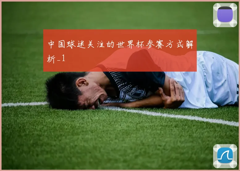 中国球迷关注的世界杯参赛方式解析_1