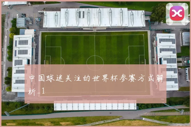 中国球迷关注的世界杯参赛方式解析_1