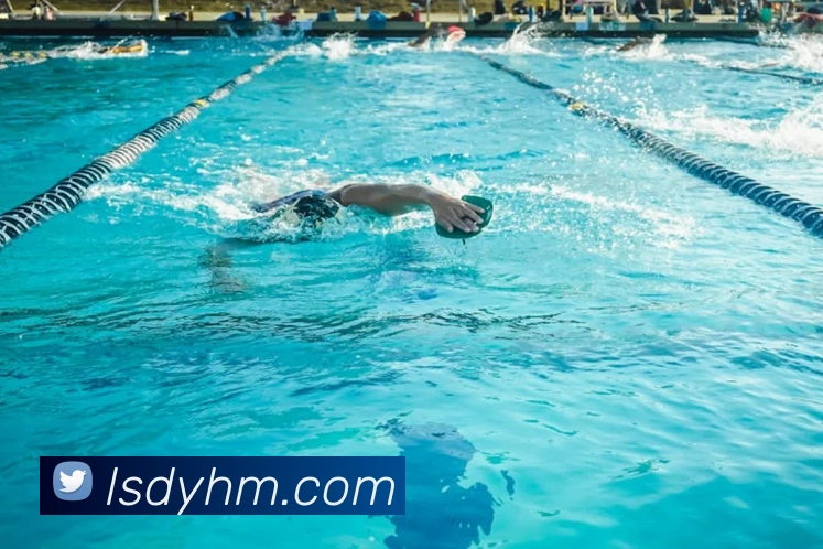 App Interface Preview